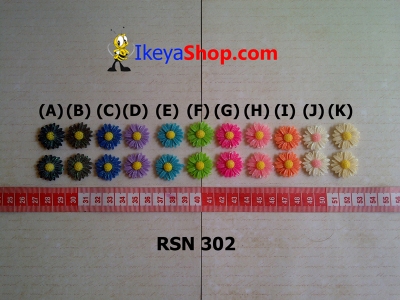 rsn 302  large2